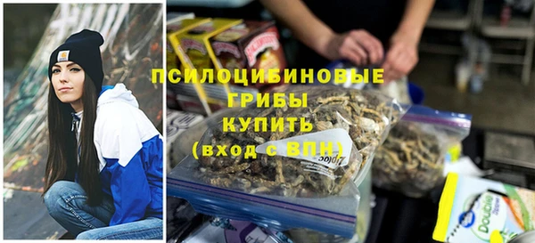 винт Алзамай