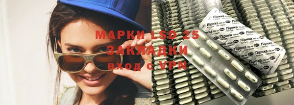 винт Алзамай