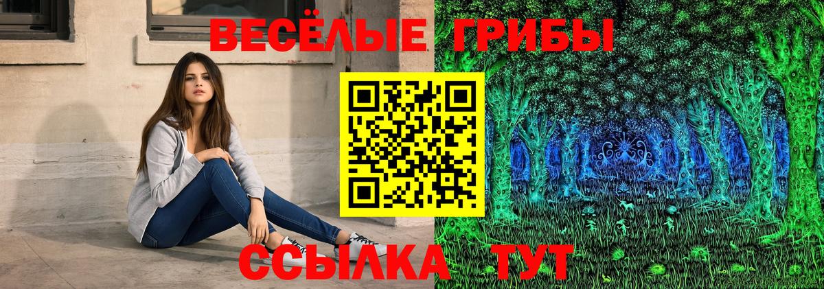 Галлюциногенные грибы Psilocybine cubensis  Галлюциногенные грибы MAGIC MUSHROOMS  Вход с VPN  Алексеевка 