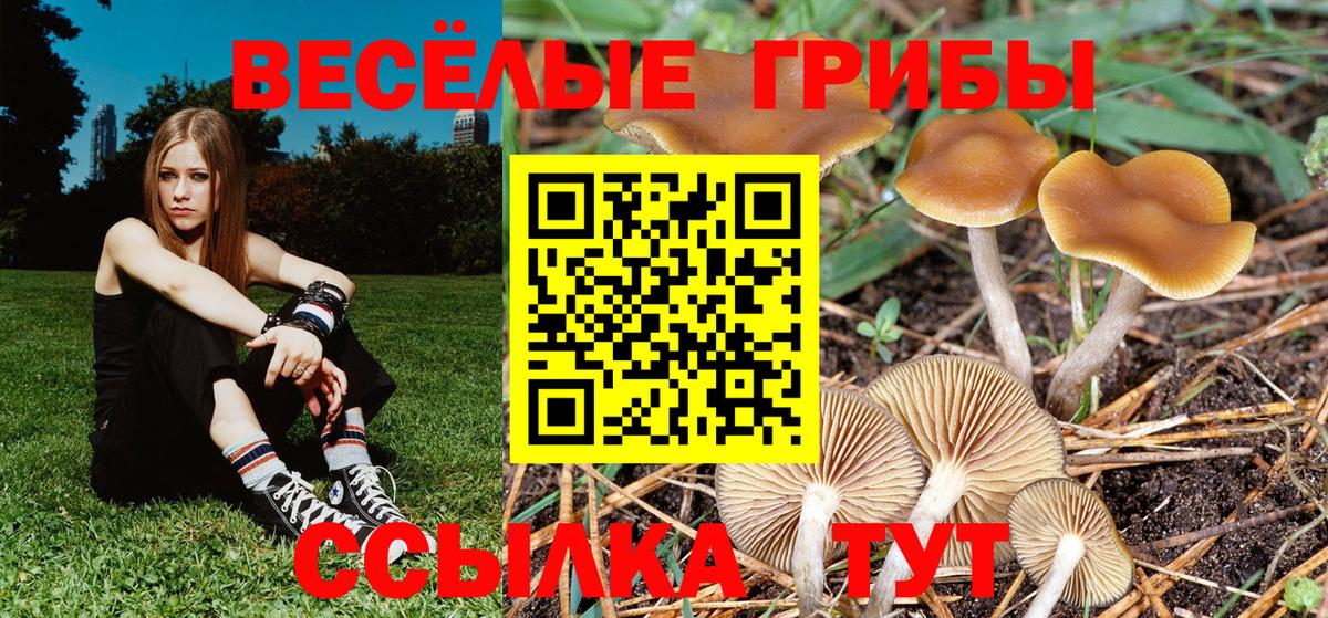 Галлюциногенные грибы мухоморы Алексеевка