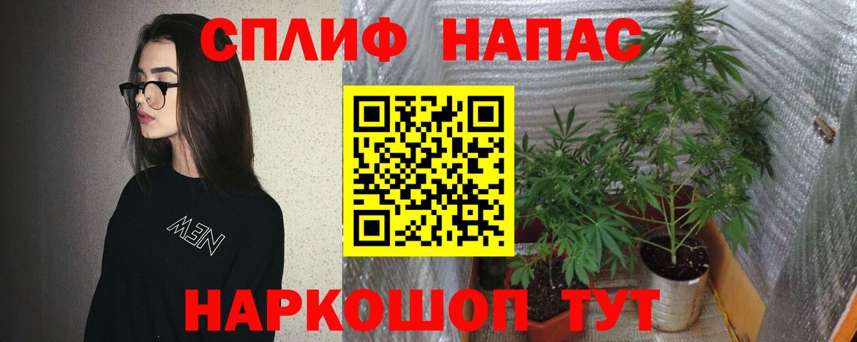 Алексеевка  Бошки марихуана гибрид  Вход с VPN  Каннабис VHQ  Канабис тримм 